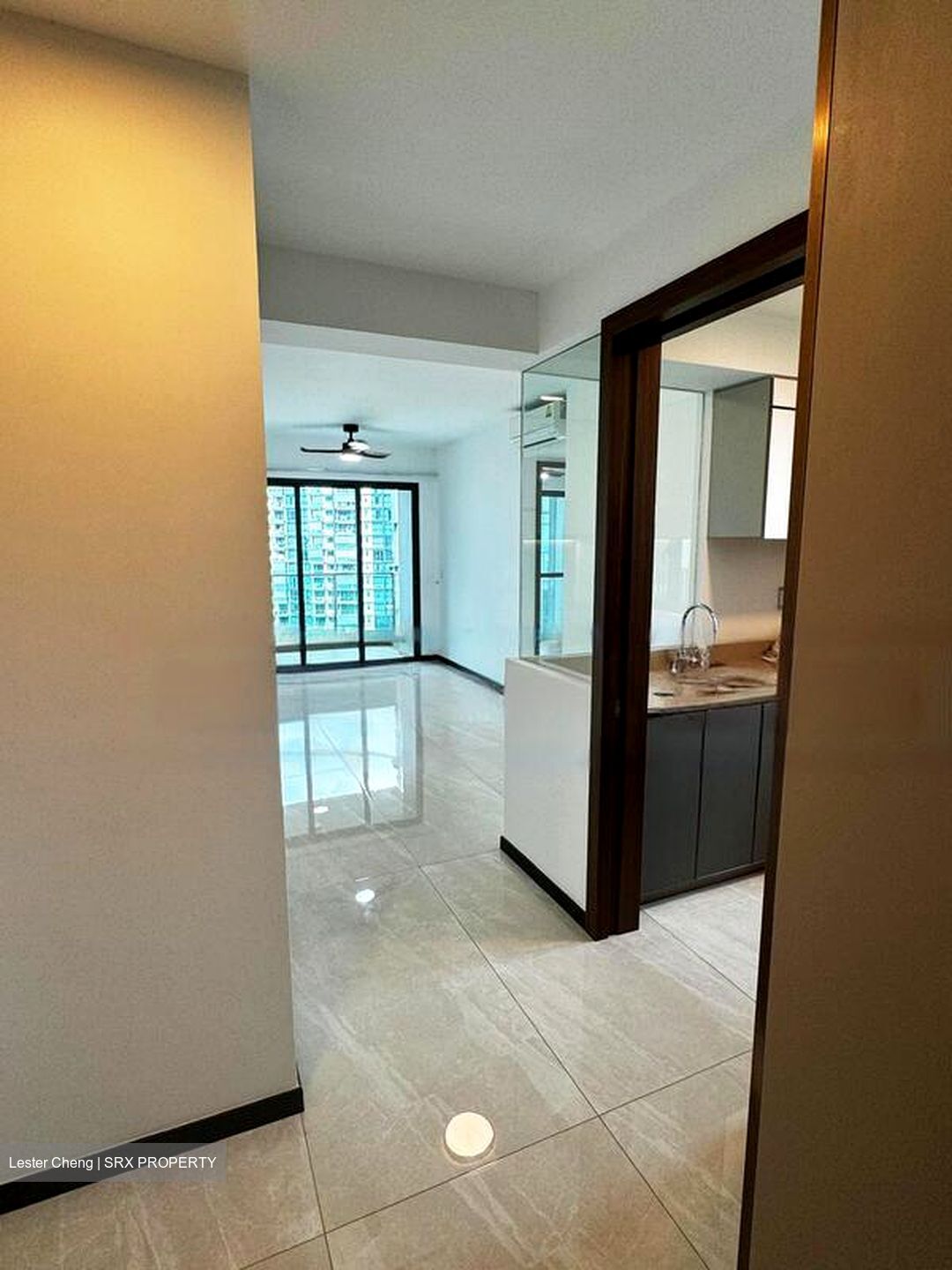 Normanton Park (D5), Apartment #480713391